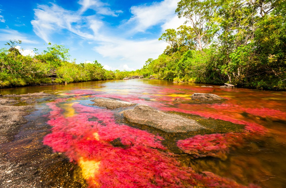 10 Razones para Visitar Río Bueno