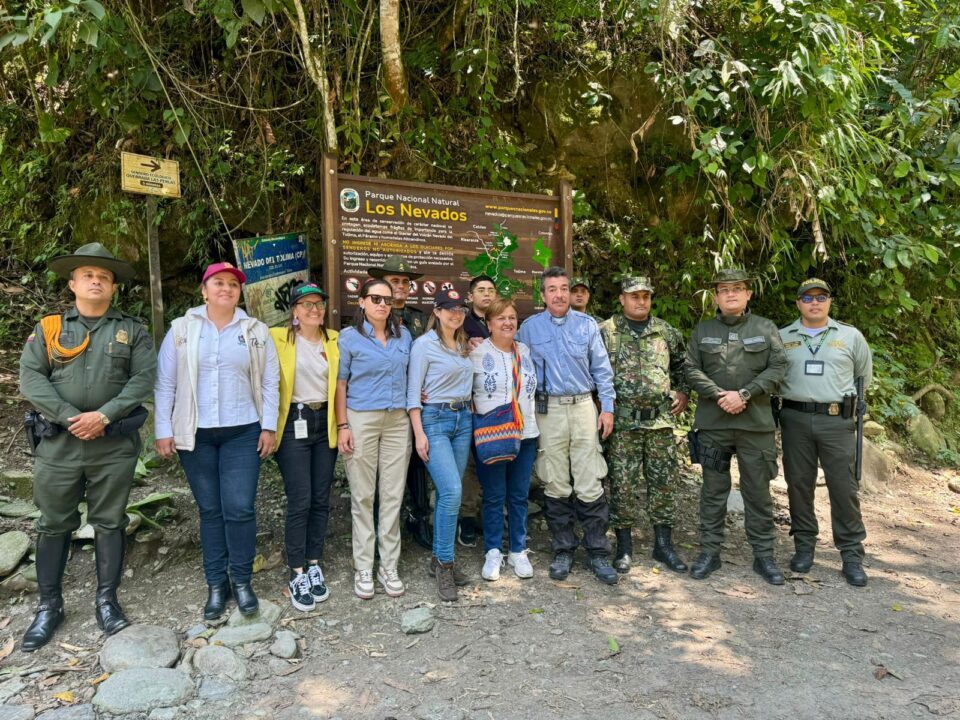 Bosque De Los Nevados