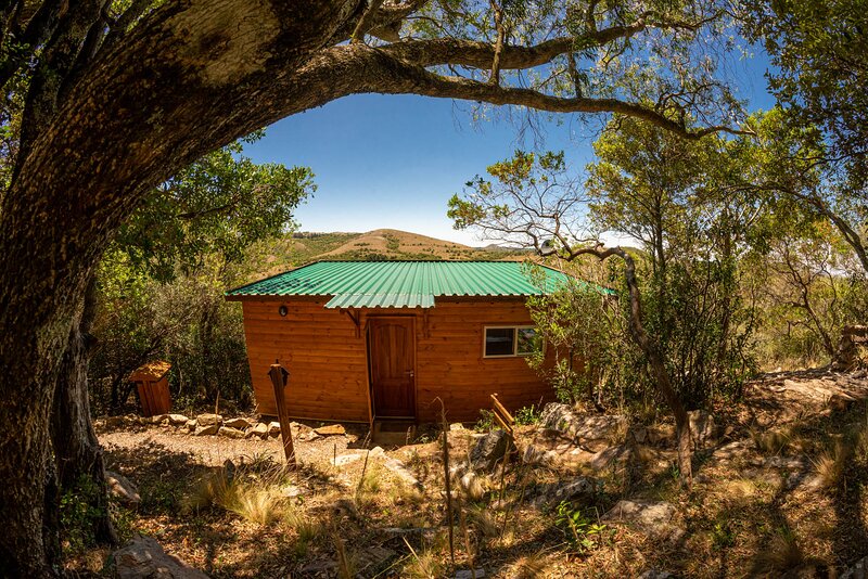 Cabanas Alma Bosque