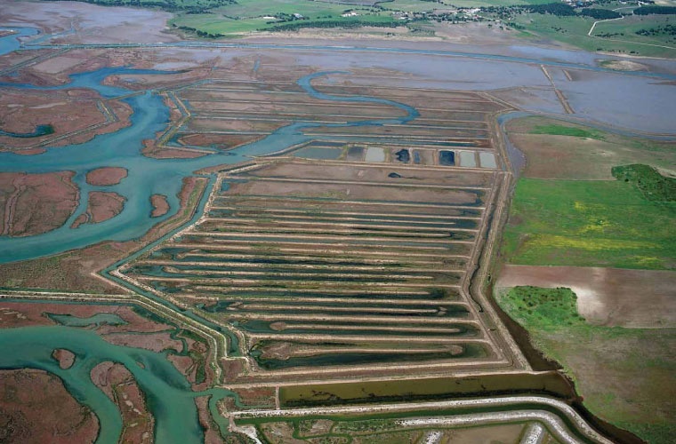 Estero Agua Buena