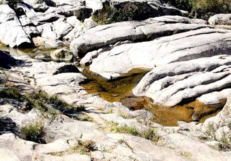 Estero Choroico