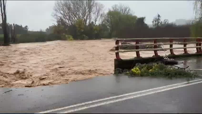 Estero Treguaco