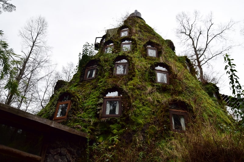 Cabañas En Huilo Huilo