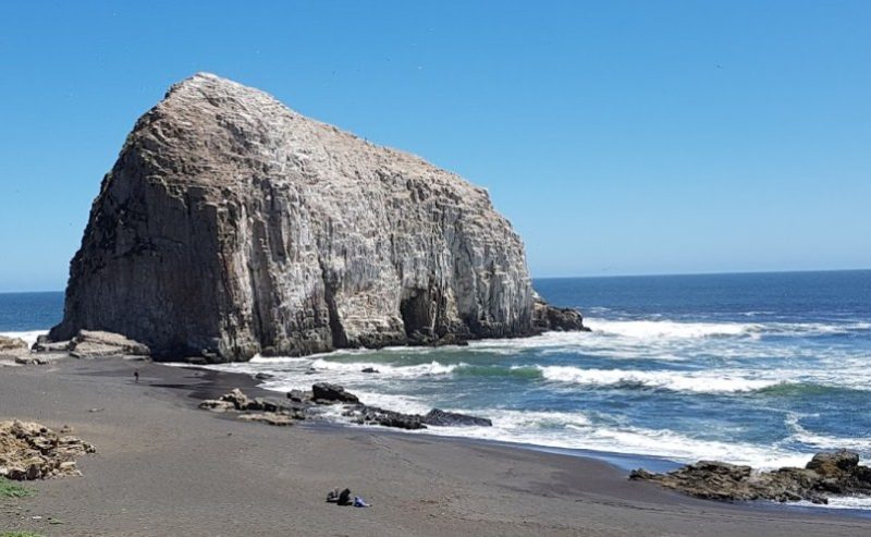 Playas En Constitución