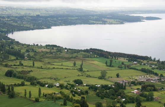 Ríos En Lago Ranco