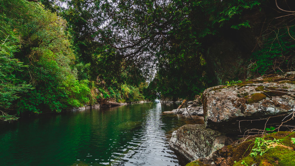 Ríos En Puyehue