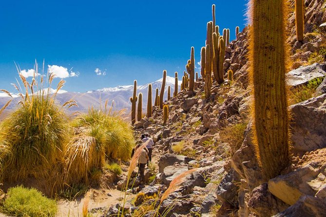 Mirador De Kari - Piedra Del Coyote