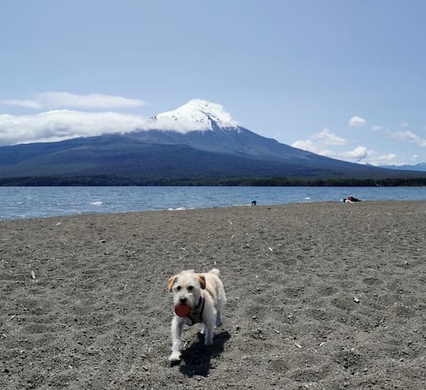 Parque Y Playa Pangal