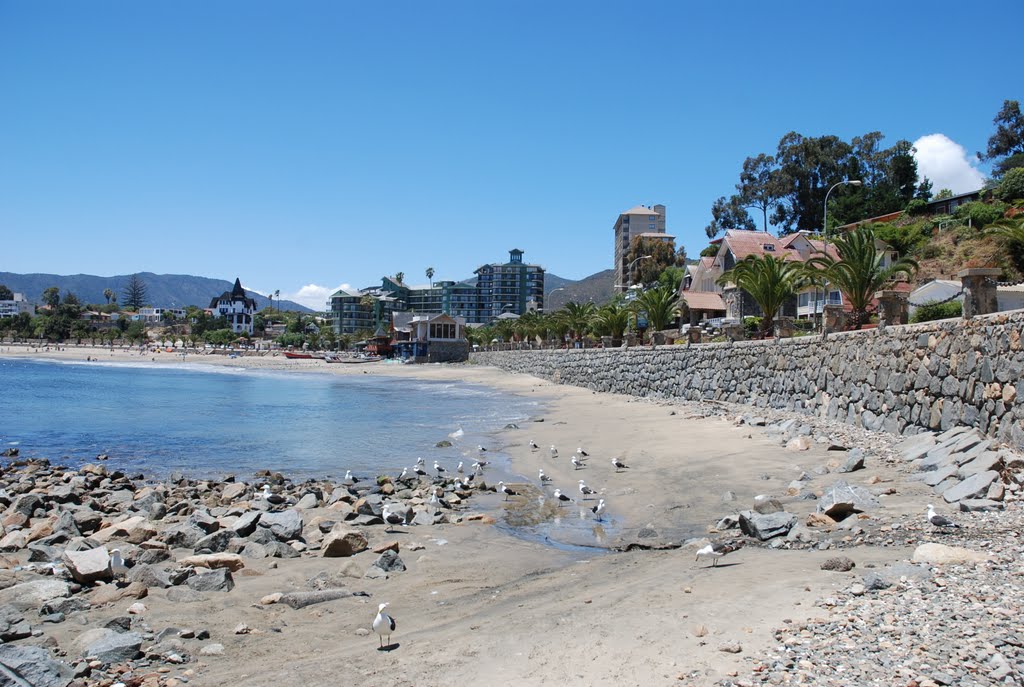 Playa Chica - Papudo