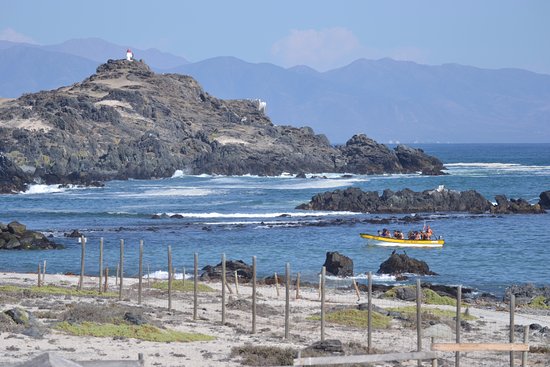 Playa Choro