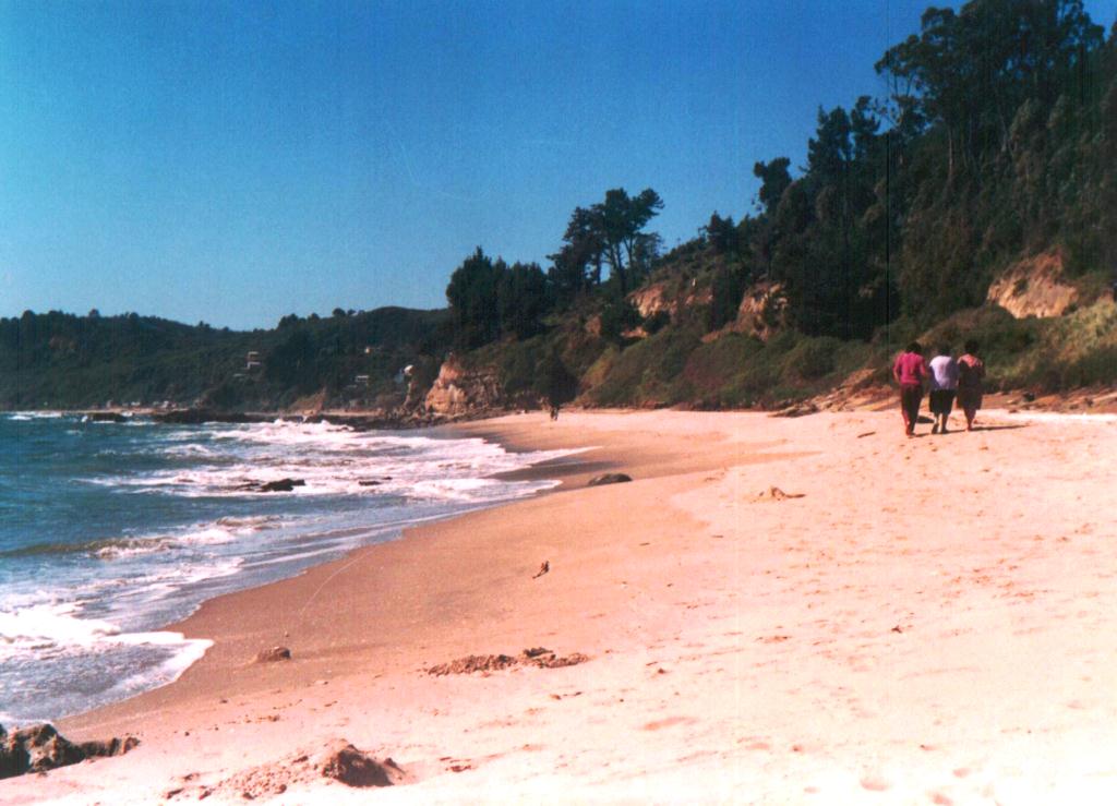 Playa Cocholgüe