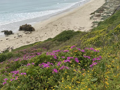 Playa ñagué