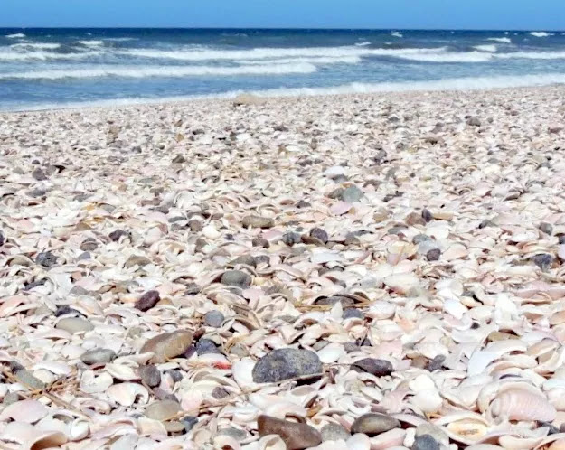 Playa Pejerrey