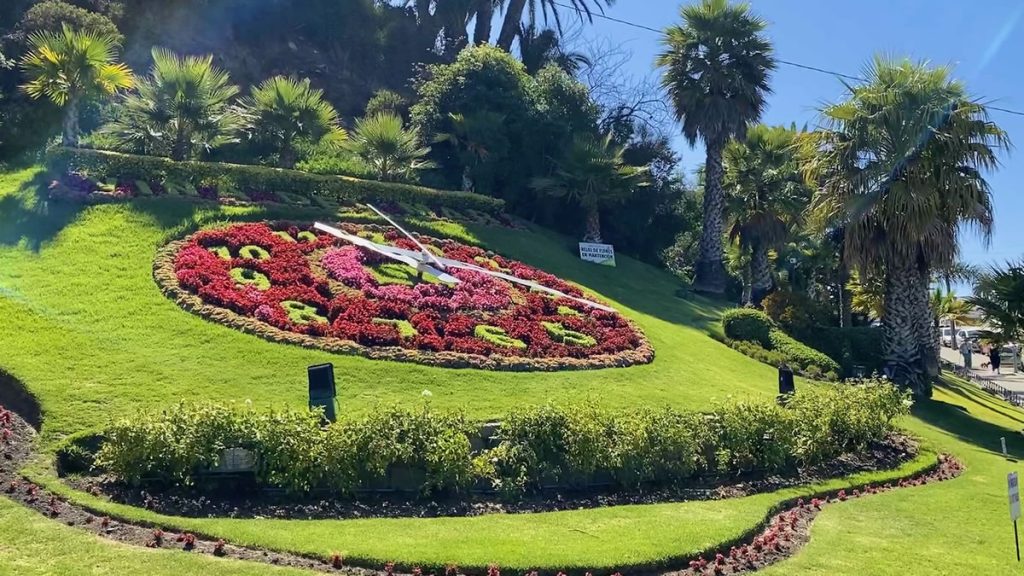 Reloj De Flores De Viña Del Mar