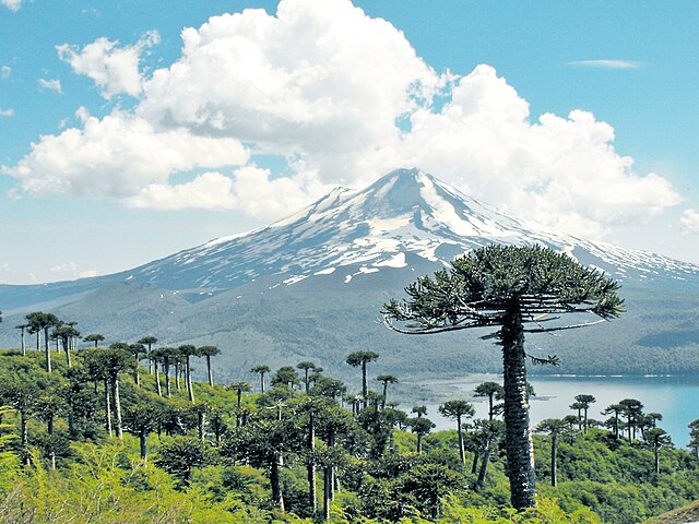 Volcan Llaima